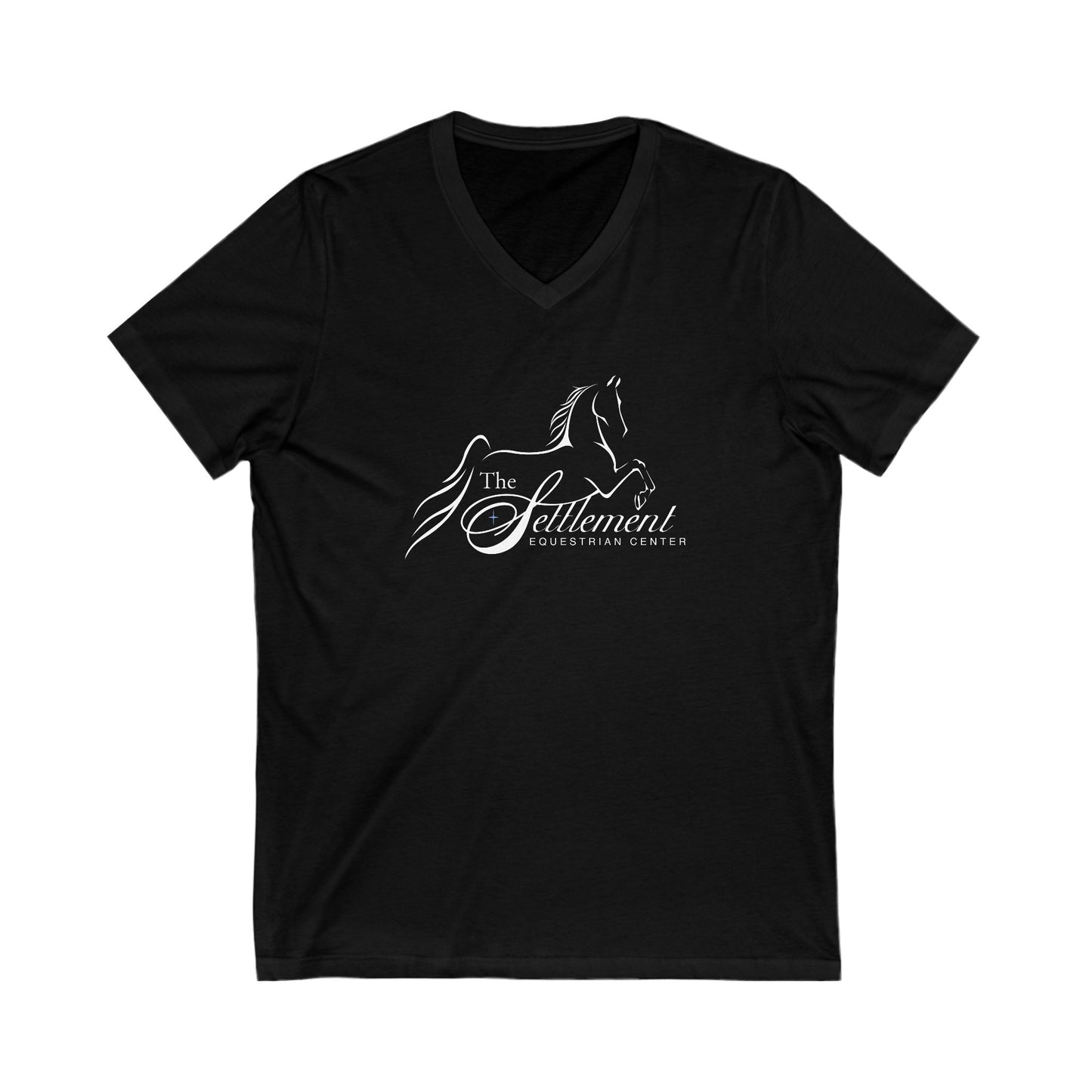 Premium Ladies V-Neck Tee