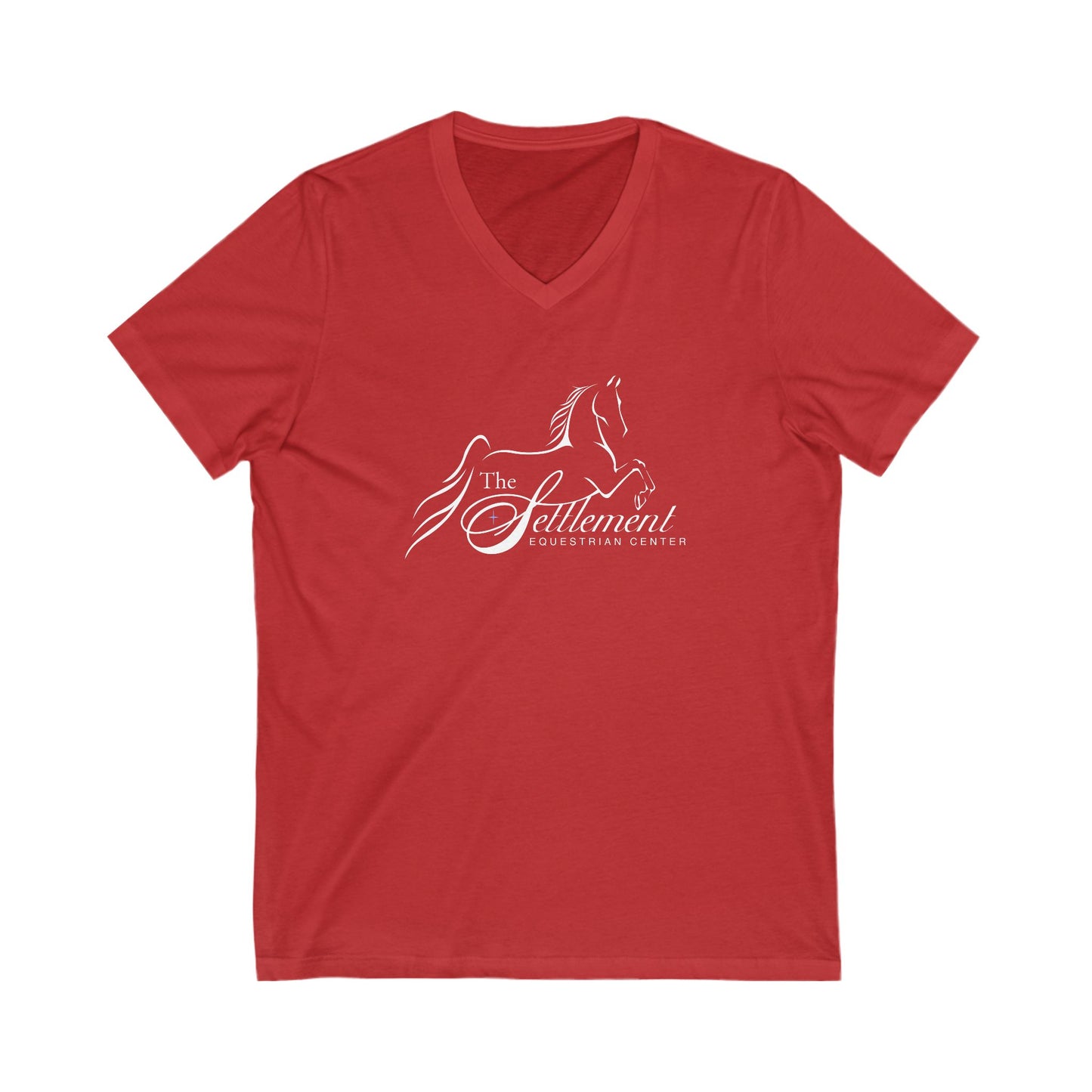 Premium Ladies V-Neck Tee