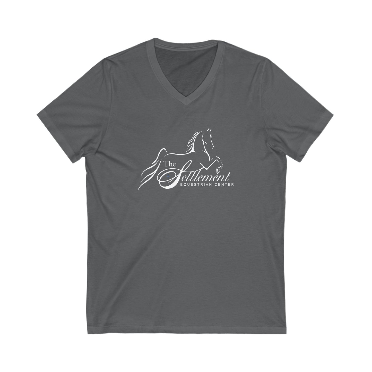 Premium Ladies V-Neck Tee
