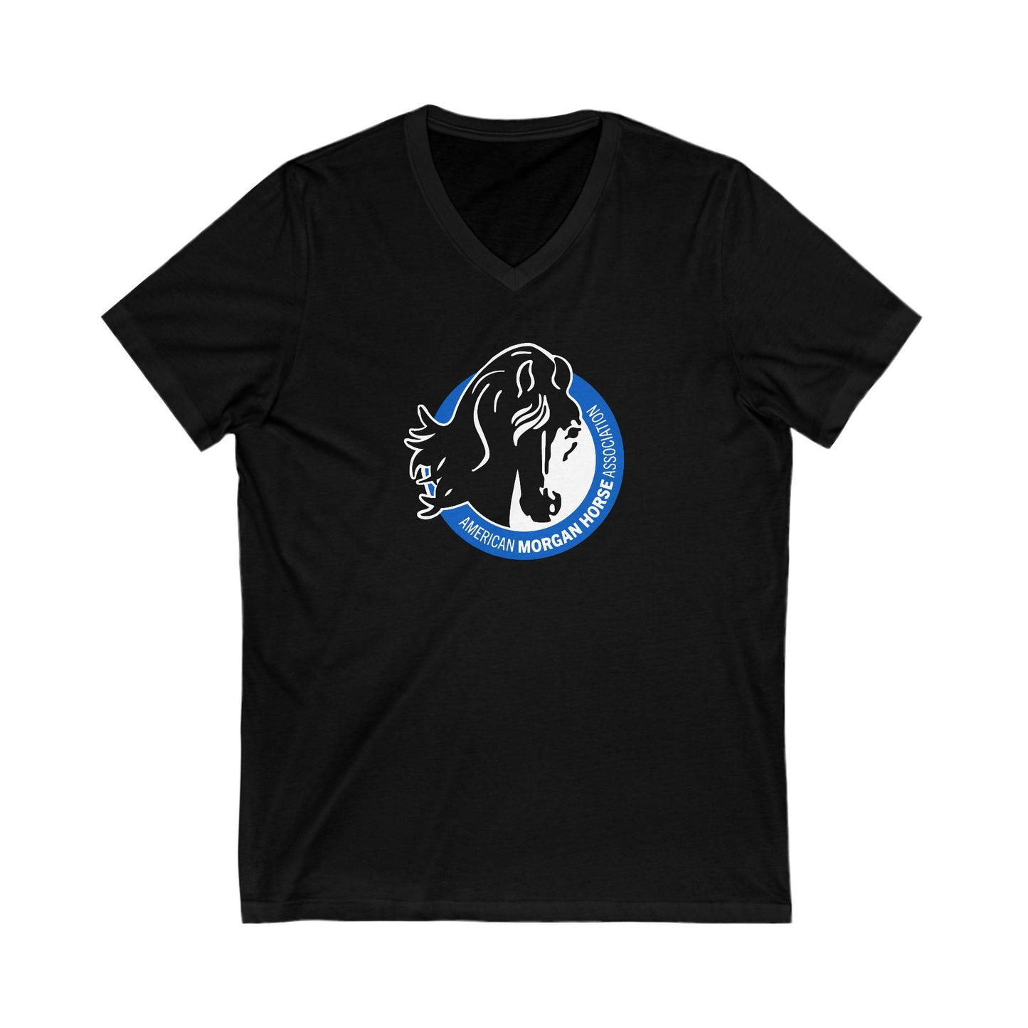 Premium Ladies V-Neck Tee