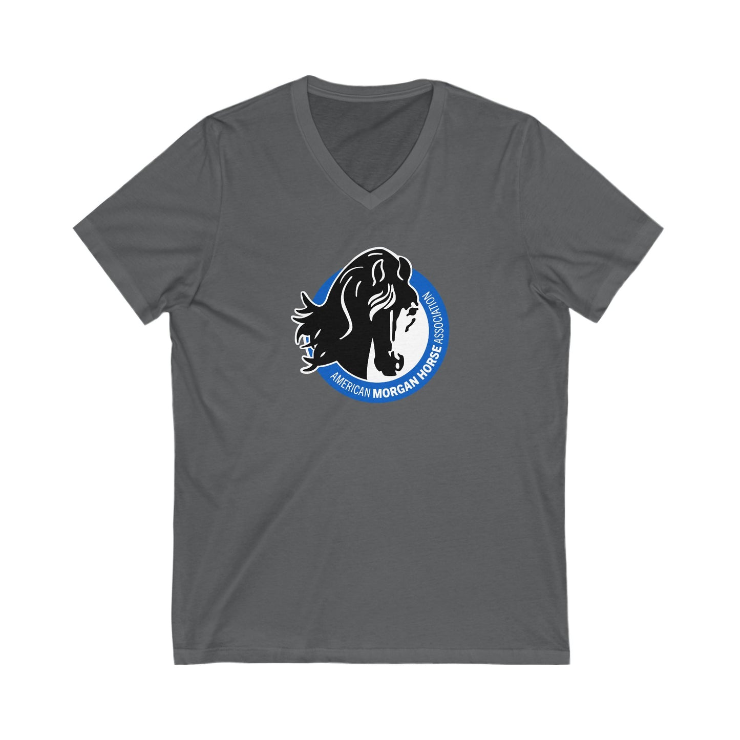 Premium Ladies V-Neck Tee