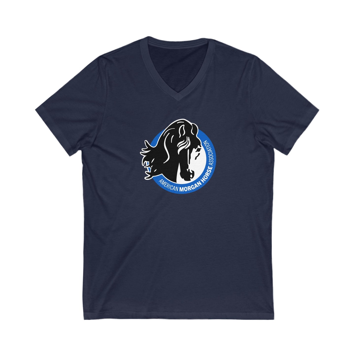 Premium Ladies V-Neck Tee
