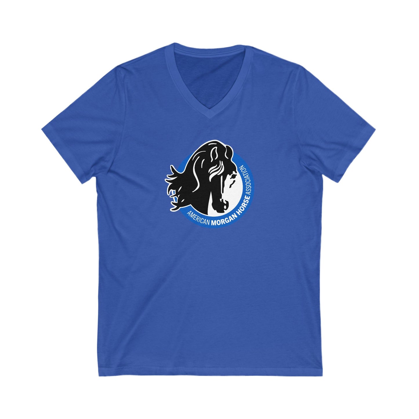 Premium Ladies V-Neck Tee