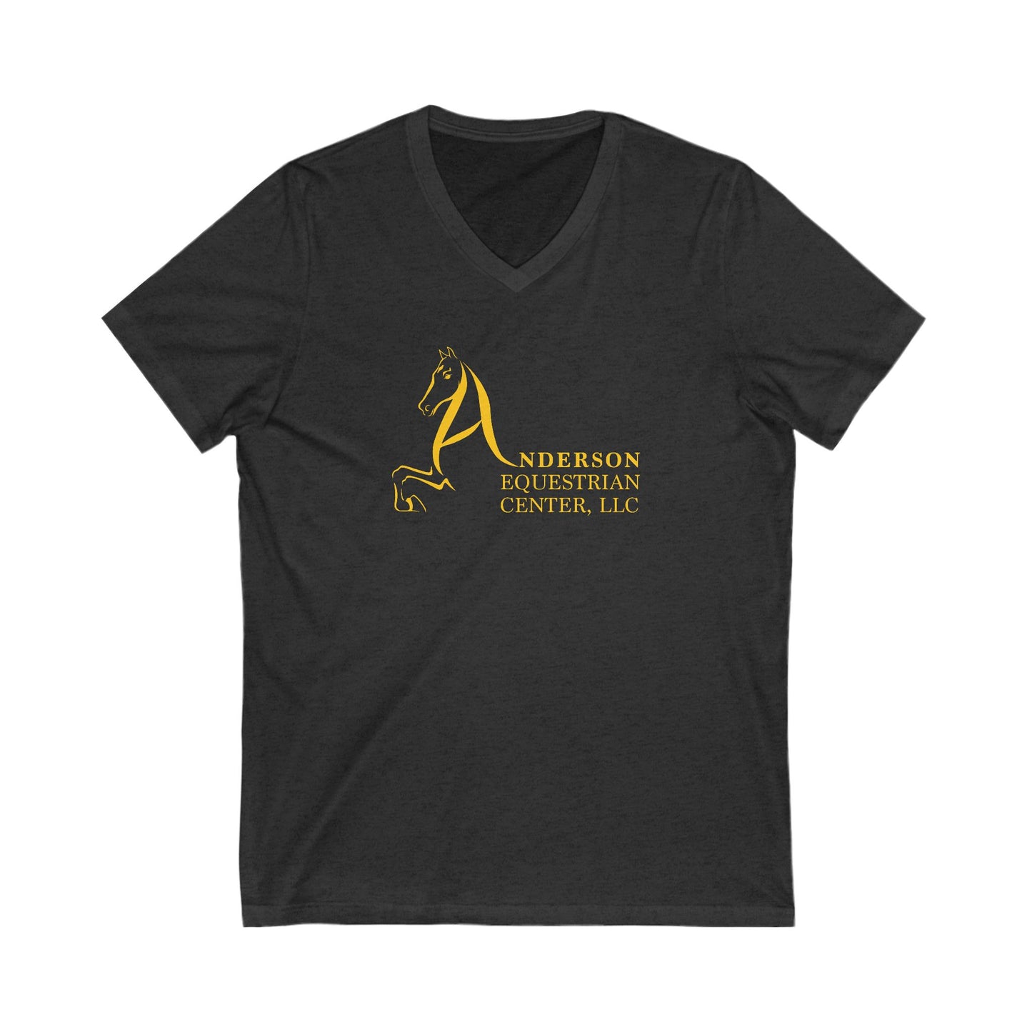 Premium Ladies V-Neck Tee