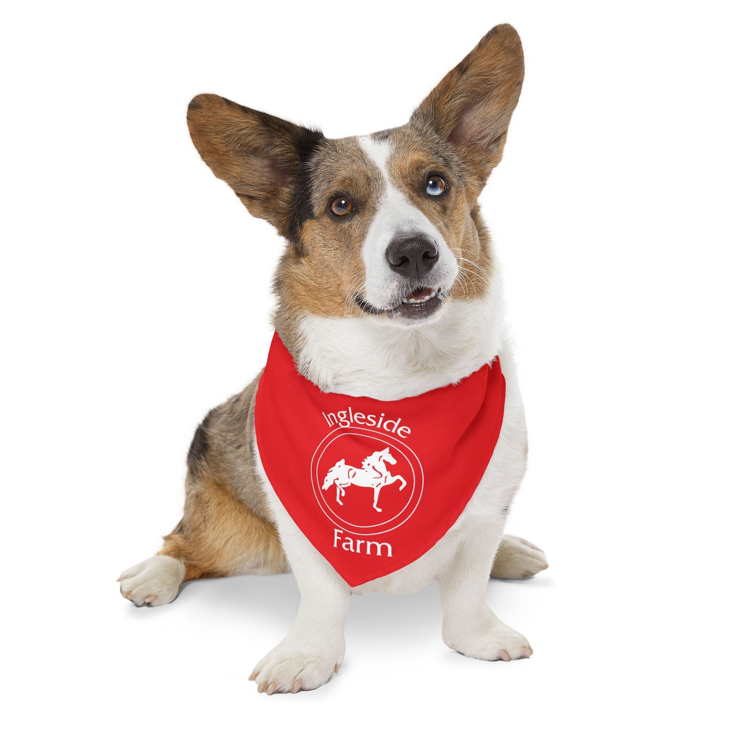 Dog Bandana with Collar