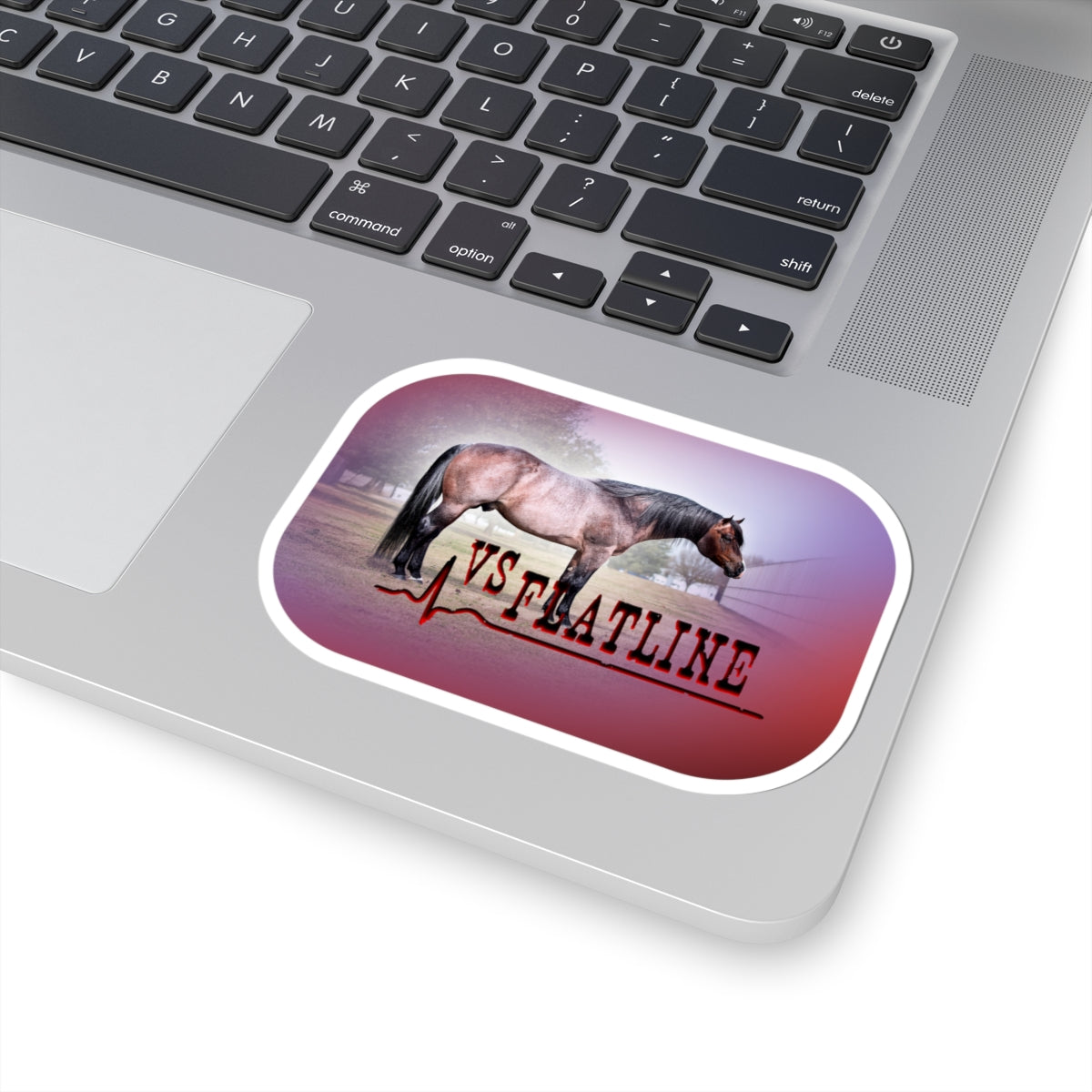 Stickers - 2 sizes, clear or white trim