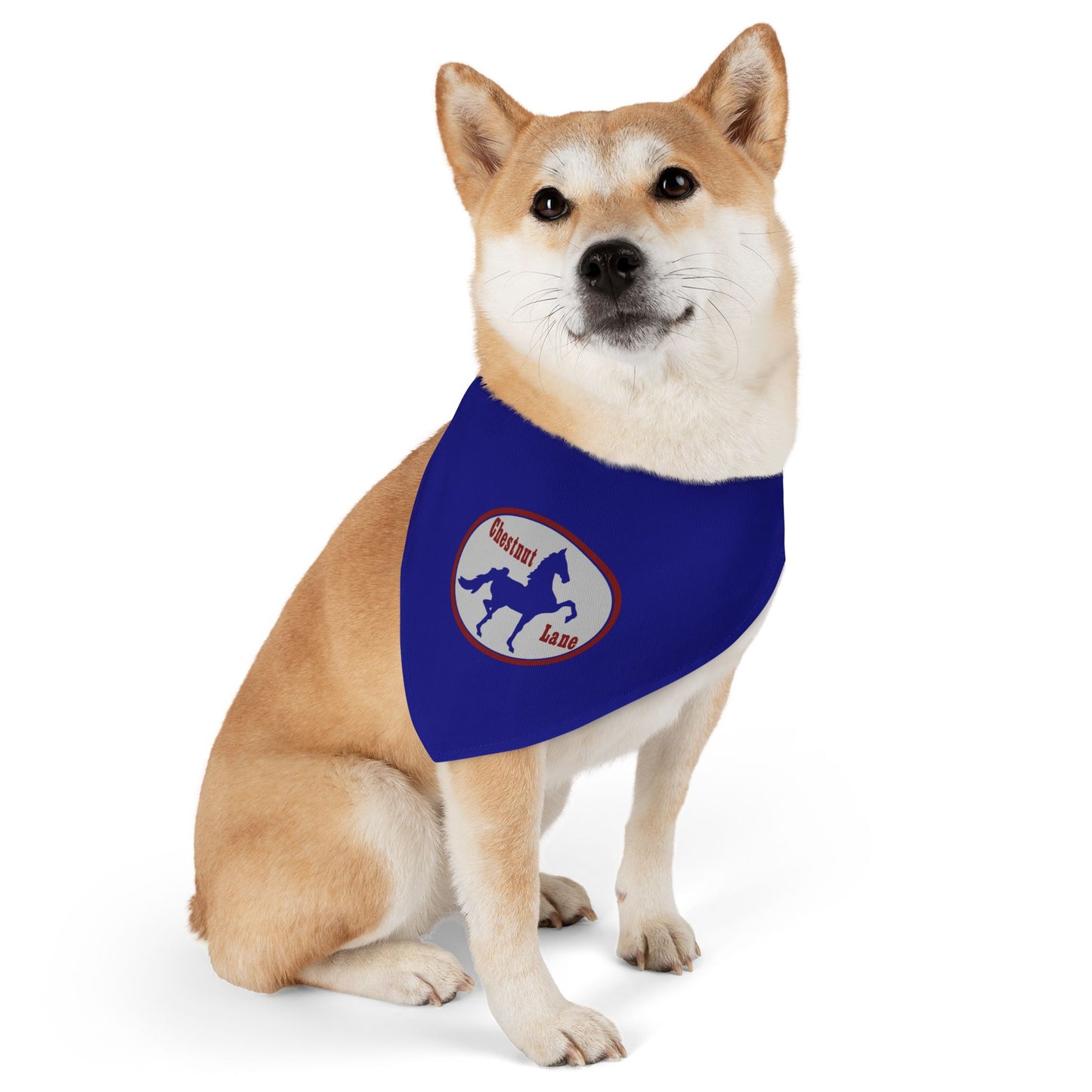 Dog Bandana with Collar