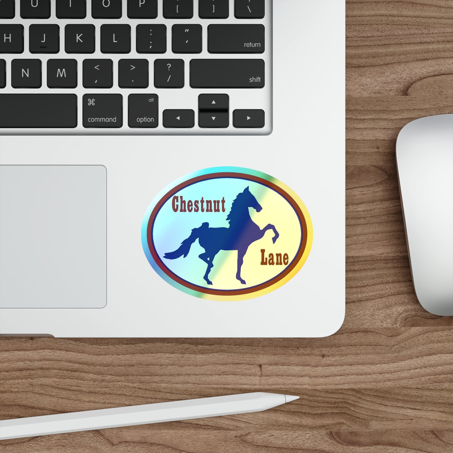 Holographic Sticker 4