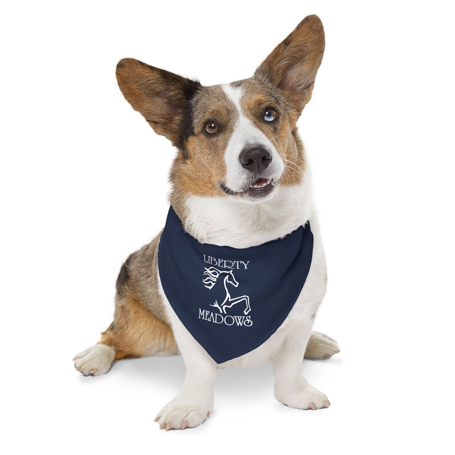 Dog Bandana with Collar
