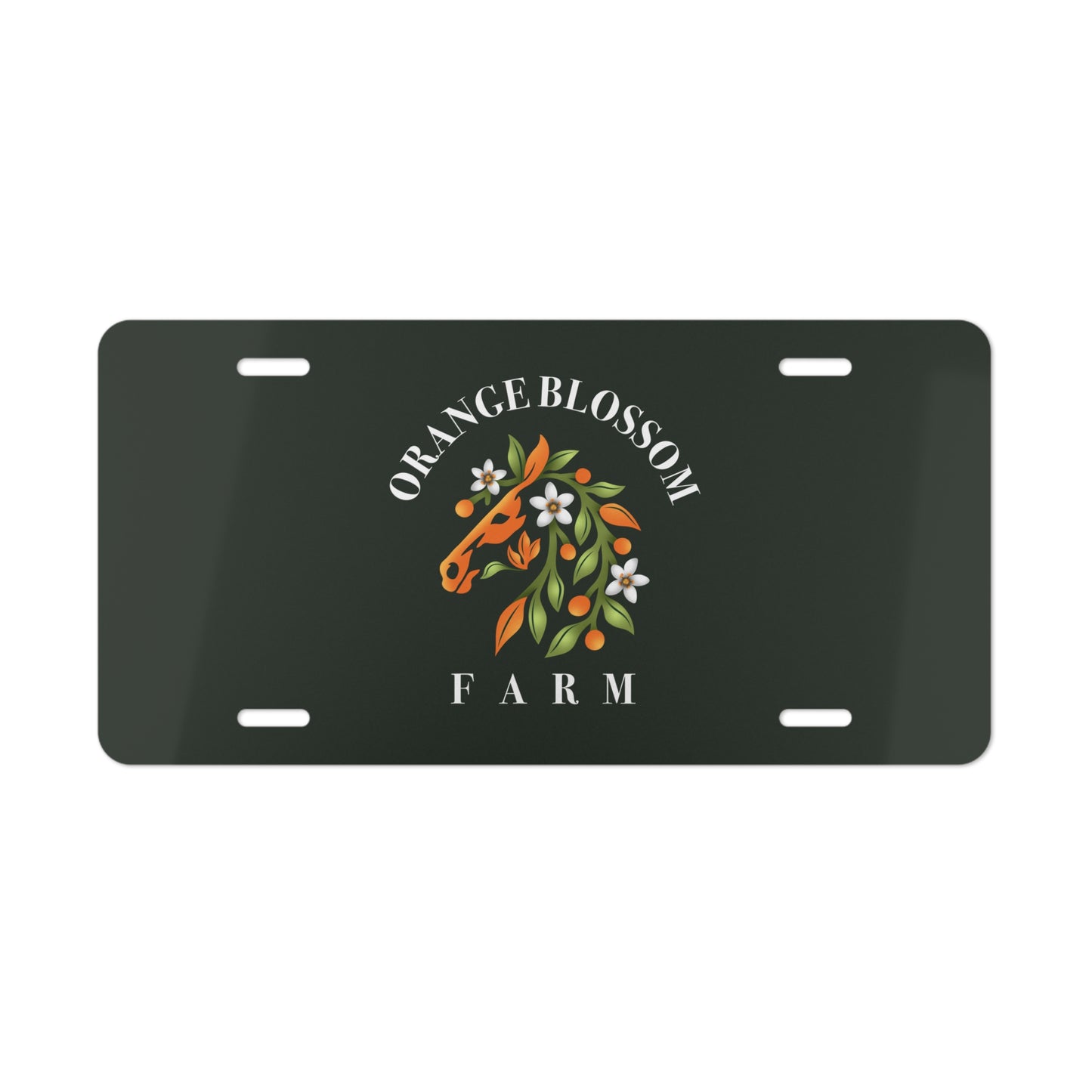 Vanity License Plate