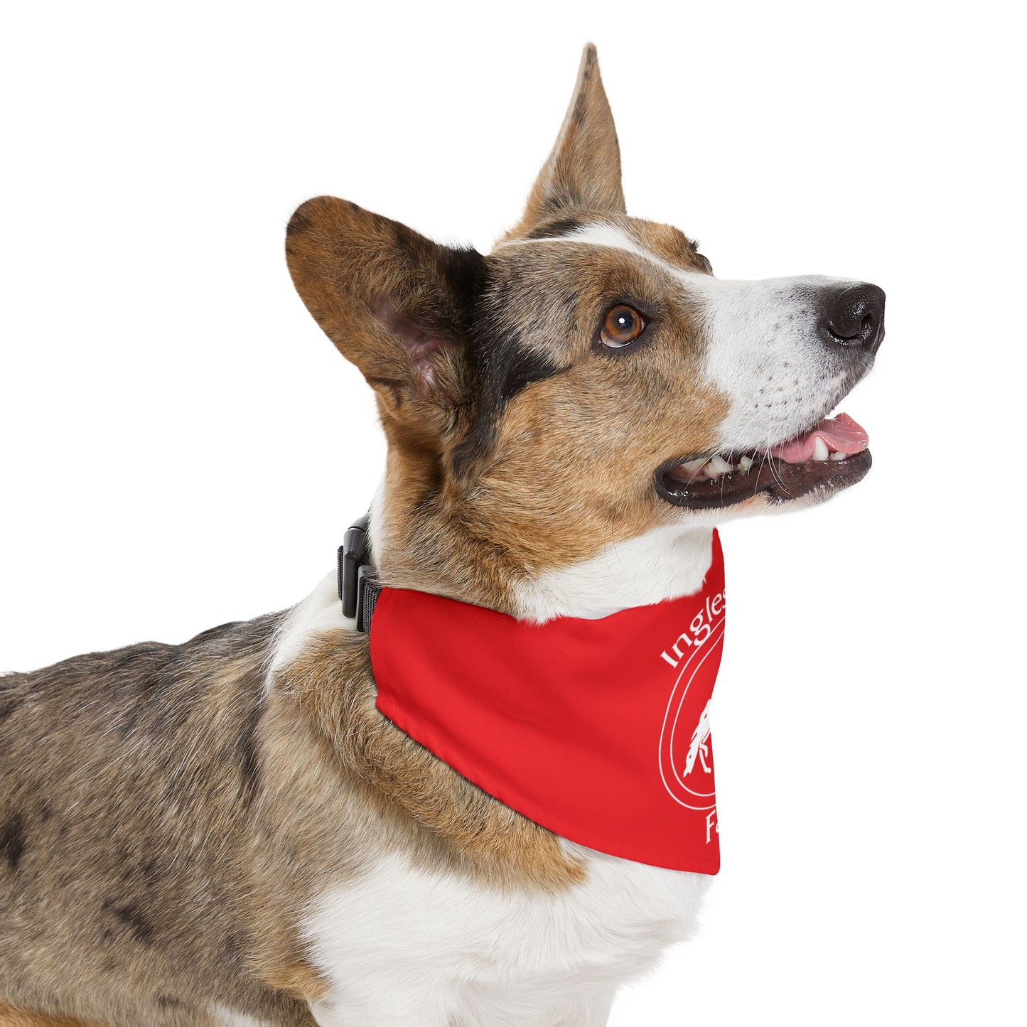 Dog Bandana with Collar