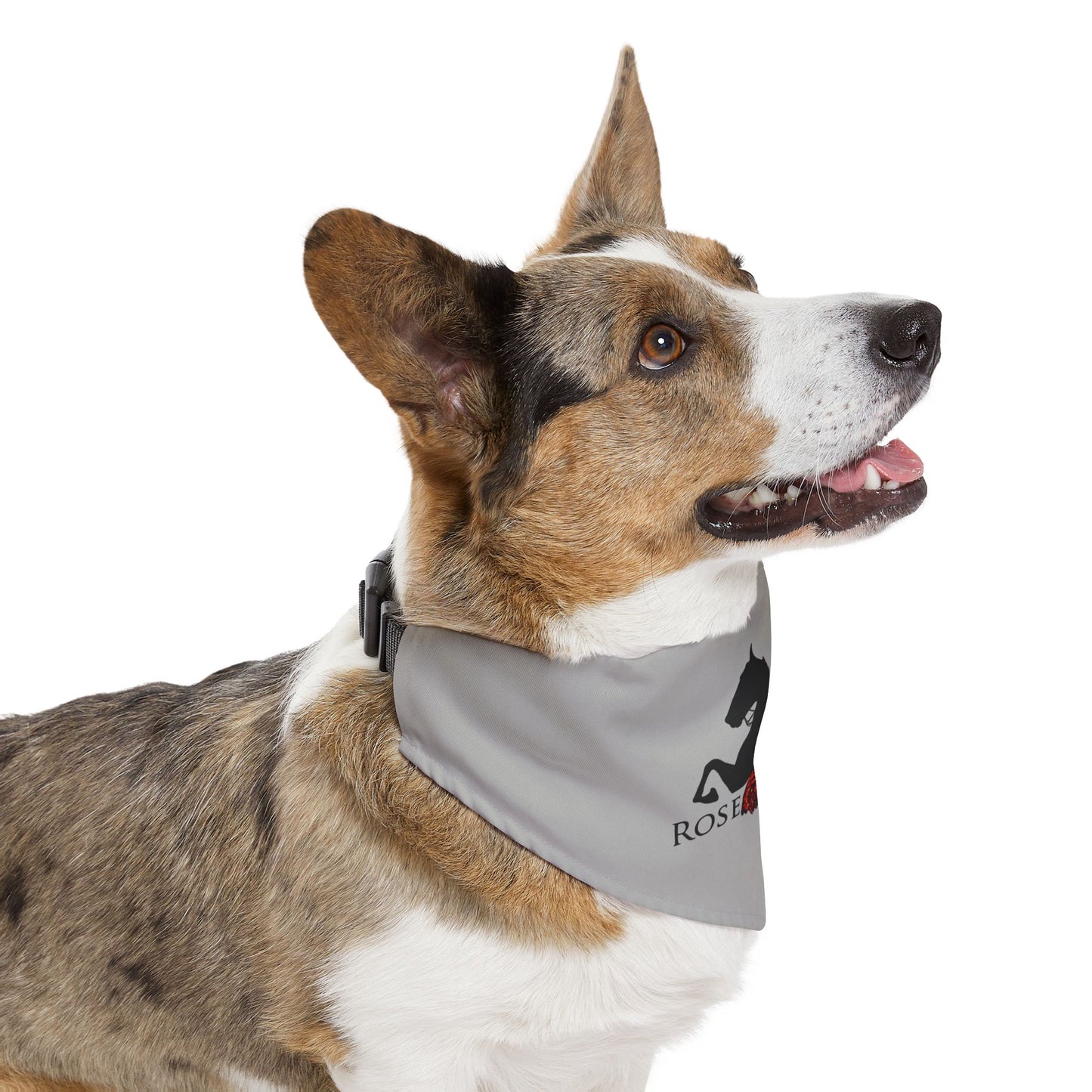 Dog Bandana with Collar