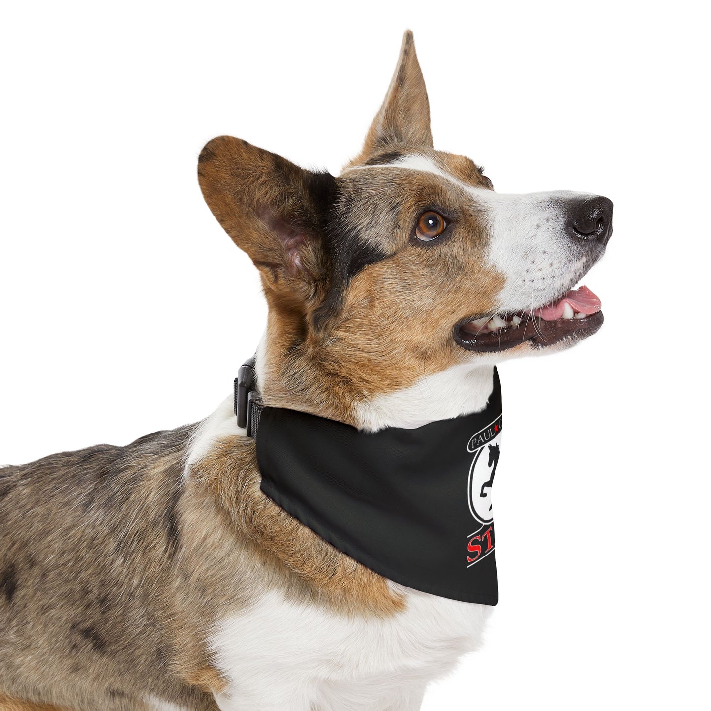 Dog Bandana with Collar