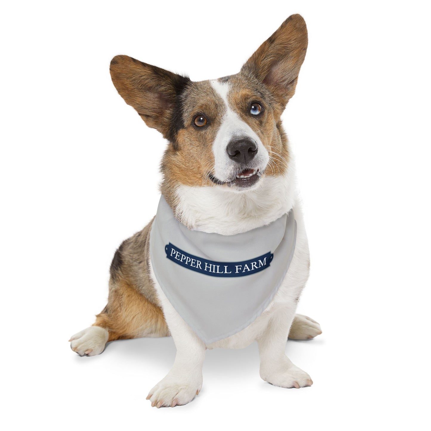 Dog Bandana with Collar
