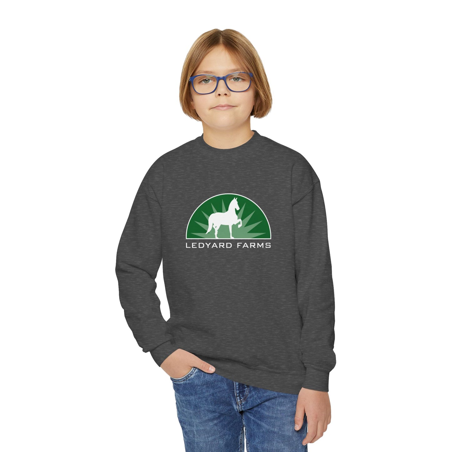 Classic Youth Crewneck Sweatshirt