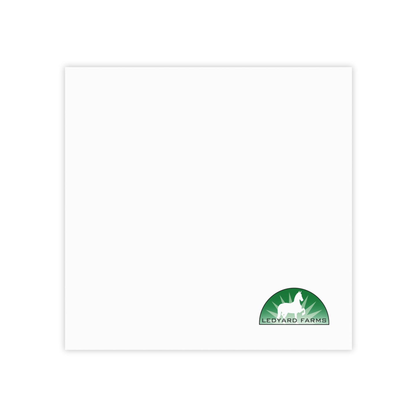 Post-it® Note Pads (4 sizes)