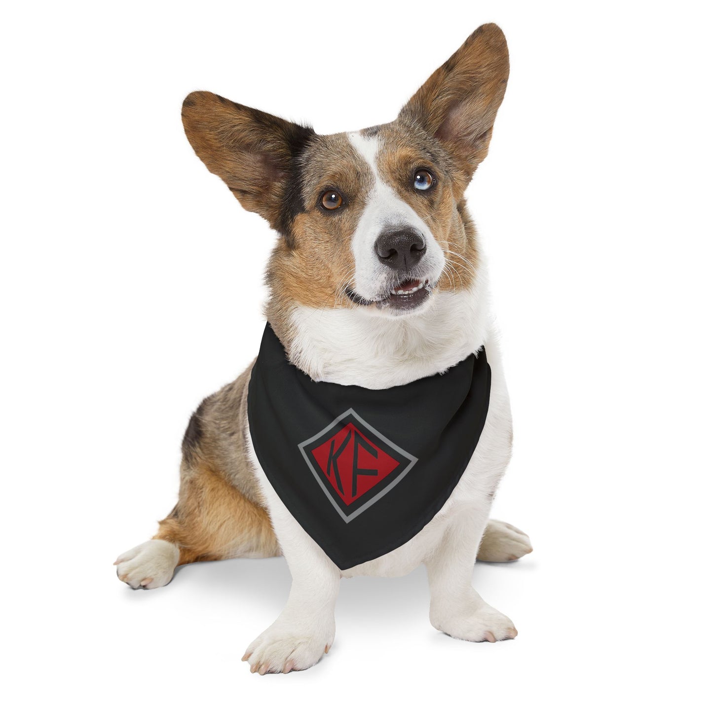Dog Bandana with Collar