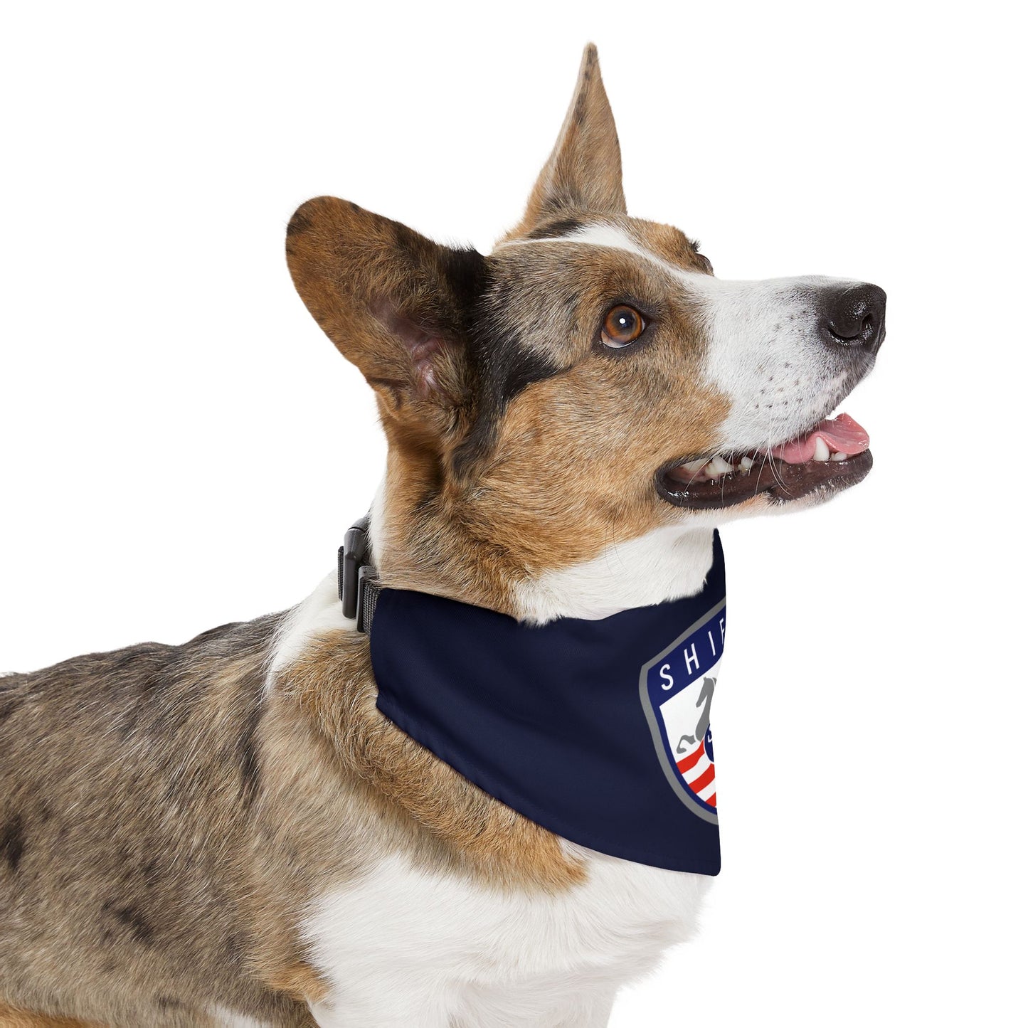 Dog Bandana with Collar
