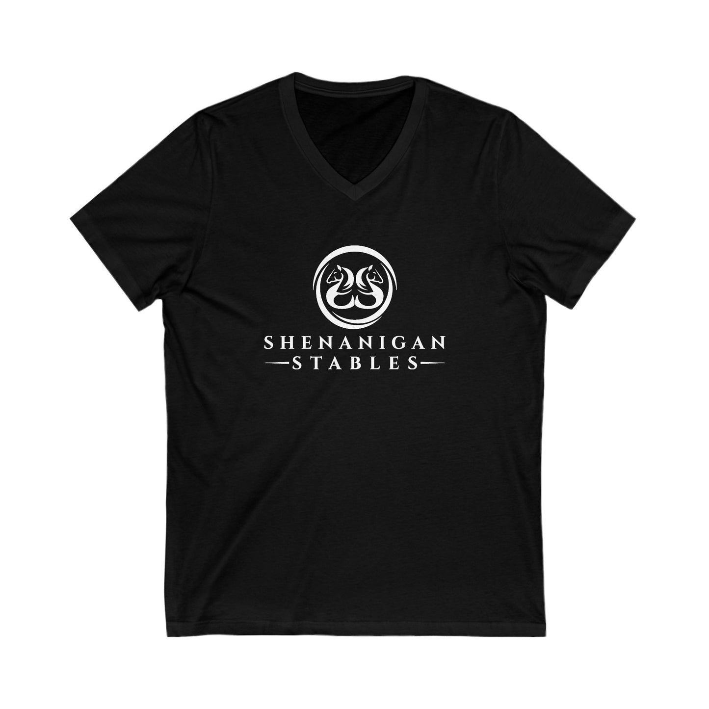 Premium Ladies V-Neck Tee
