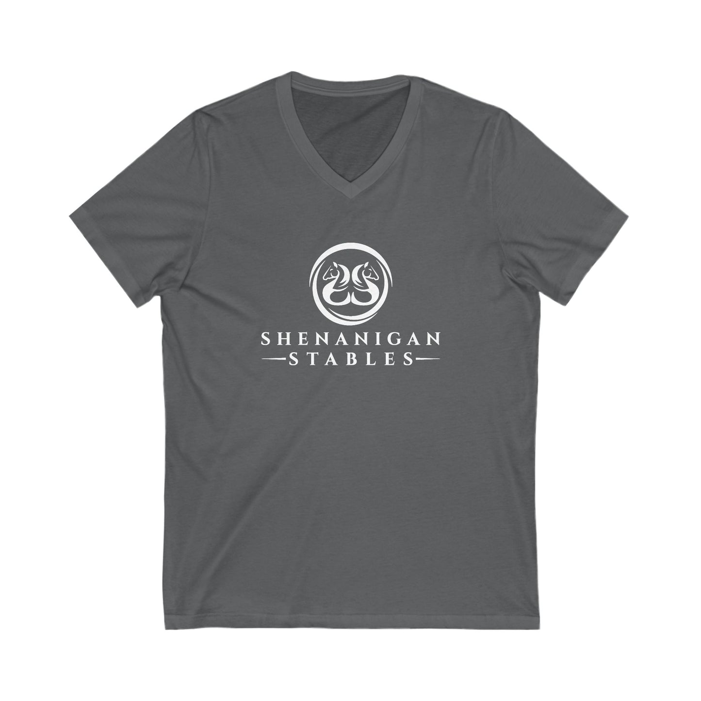 Premium Ladies V-Neck Tee