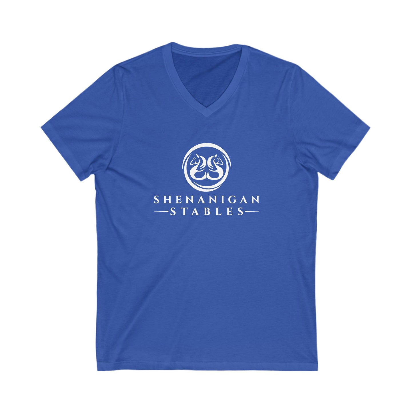 Premium Ladies V-Neck Tee