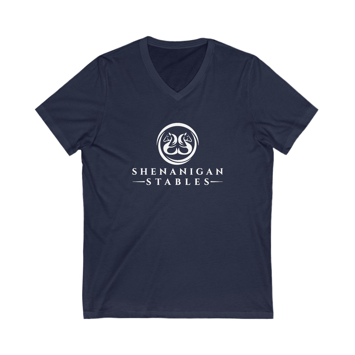 Premium Ladies V-Neck Tee