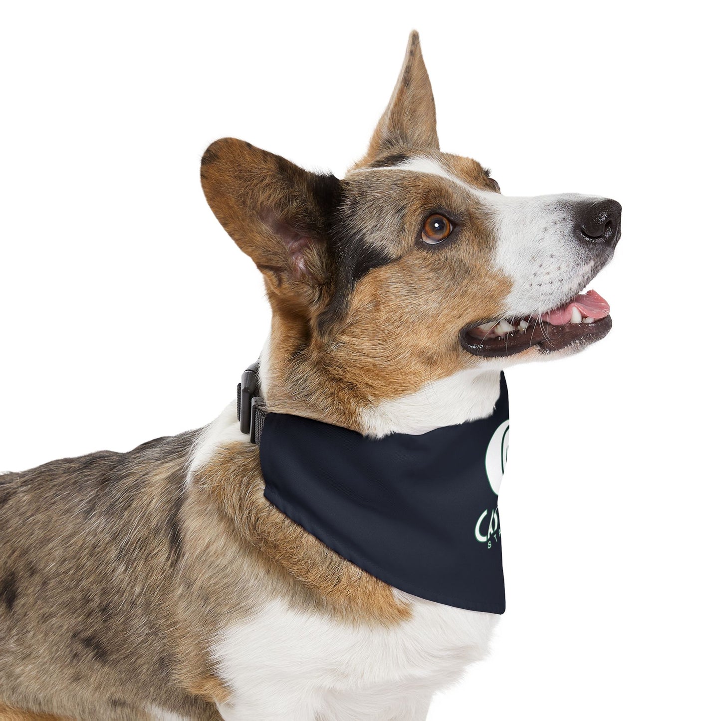 Dog Bandana with Collar