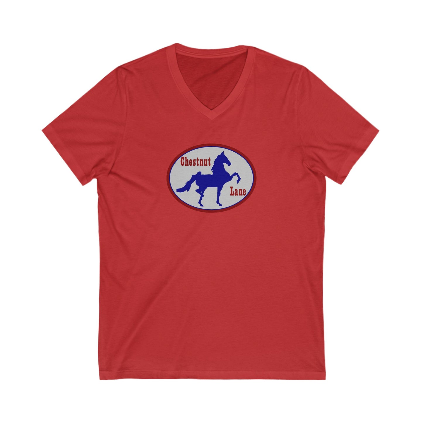 Premium Ladies V-Neck Tee