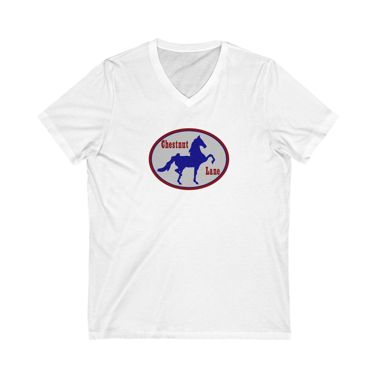 Premium Ladies V-Neck Tee