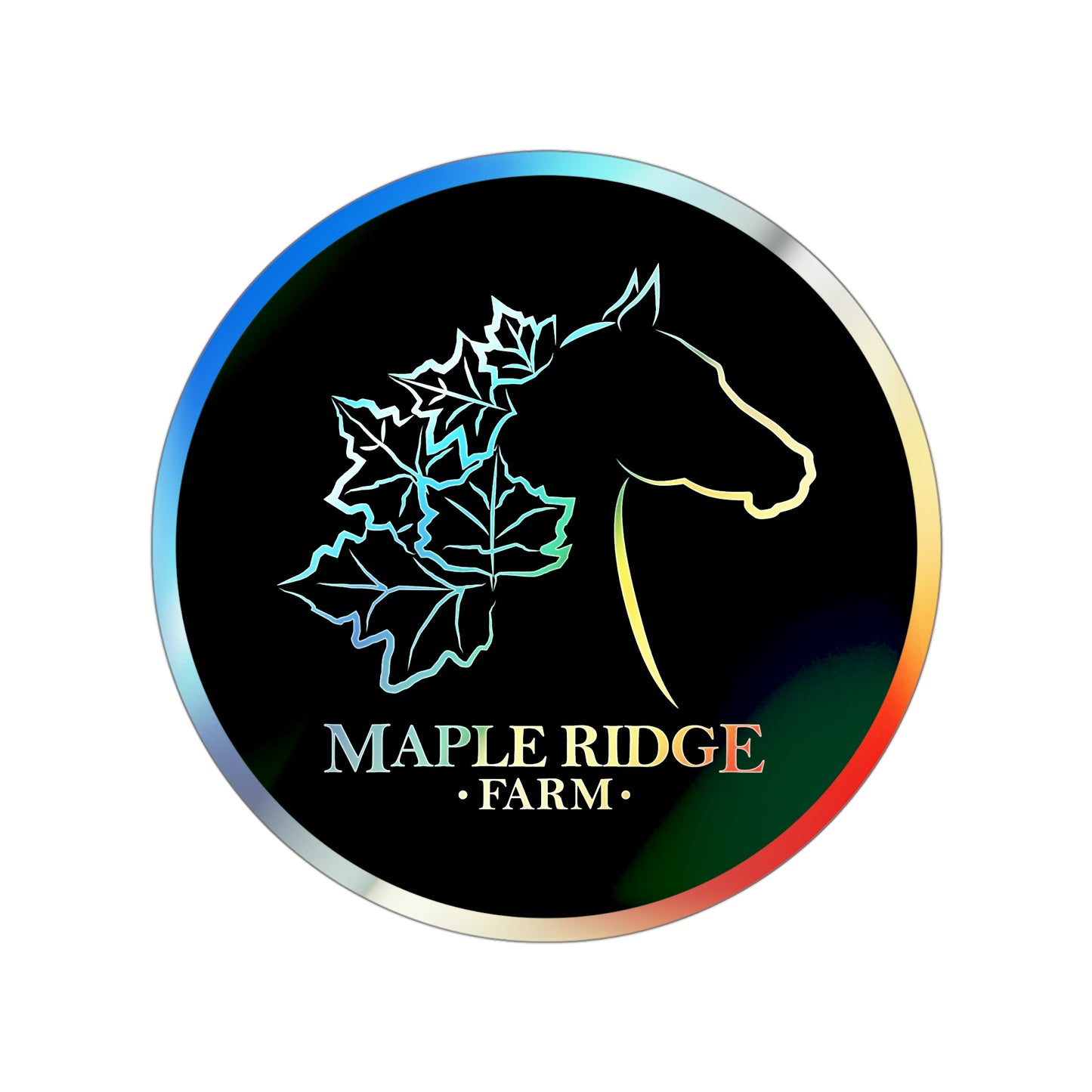 Holographic Sticker 4