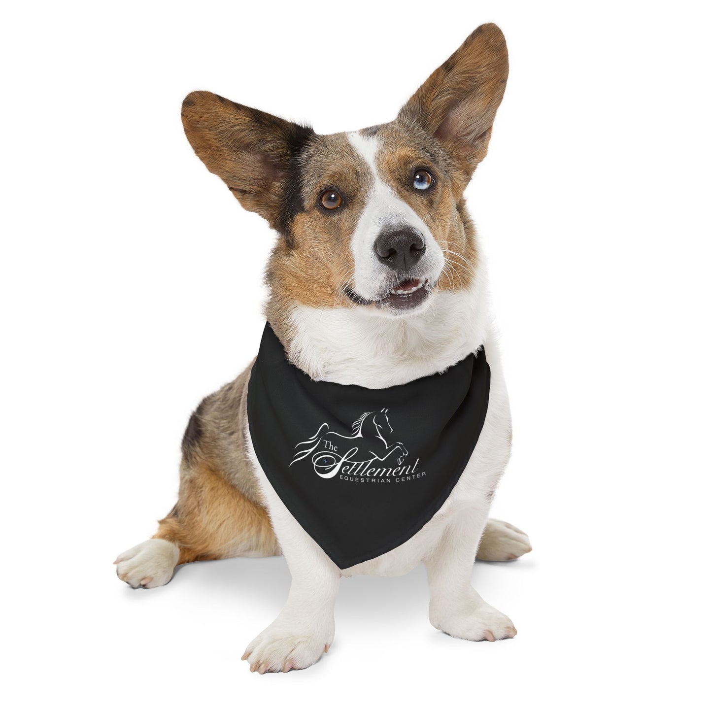 Dog Bandana with Collar