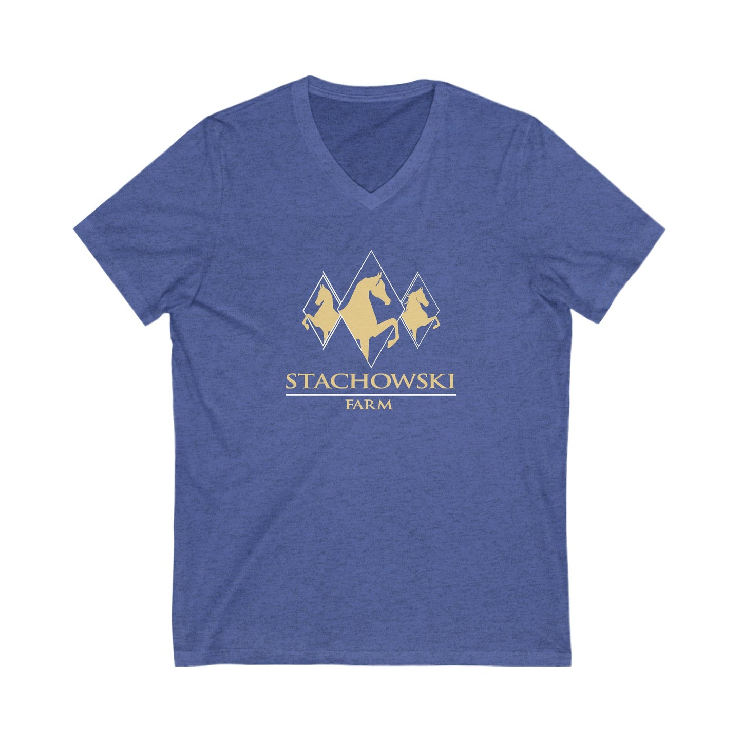 Premium Ladies V-Neck Tee