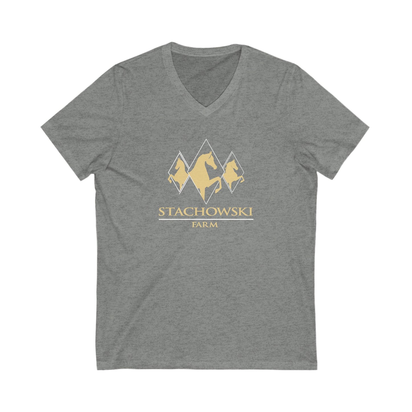 Premium Ladies V-Neck Tee