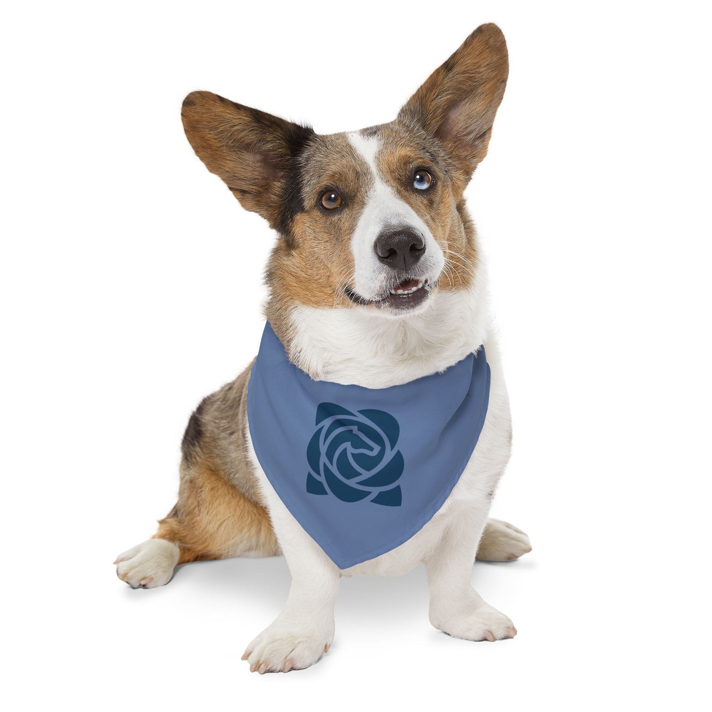 Dog Bandana with Collar
