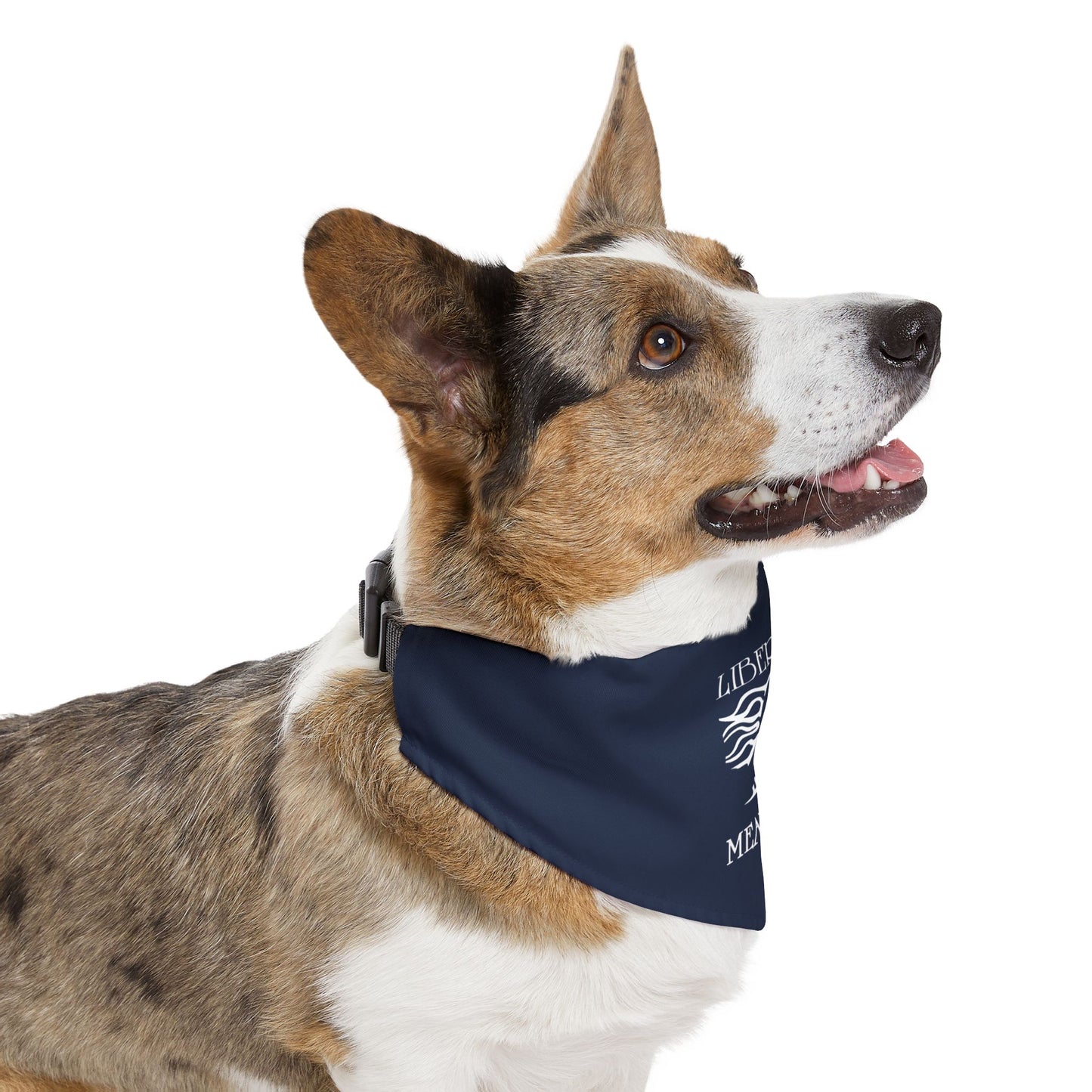Dog Bandana with Collar