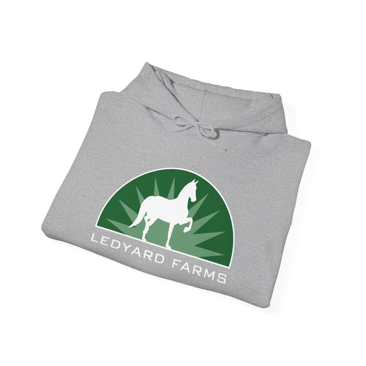 Unisex Heavy Blend™ Hoodie