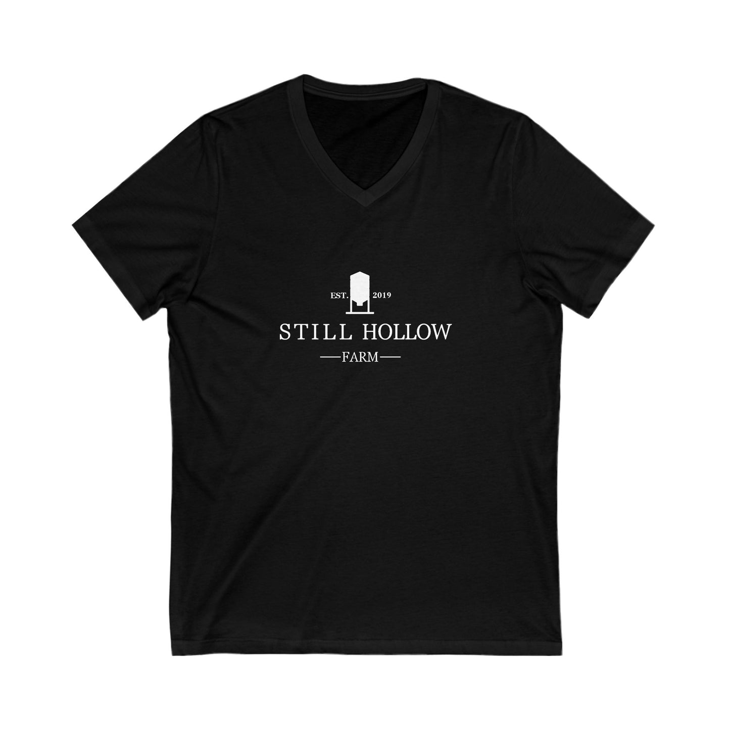 Premium Ladies V-Neck Tee