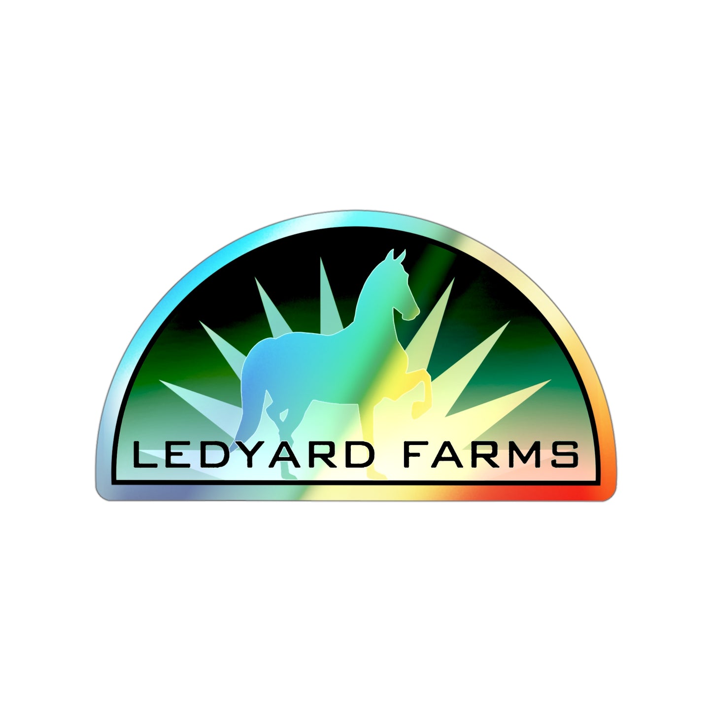 Holographic Sticker 4