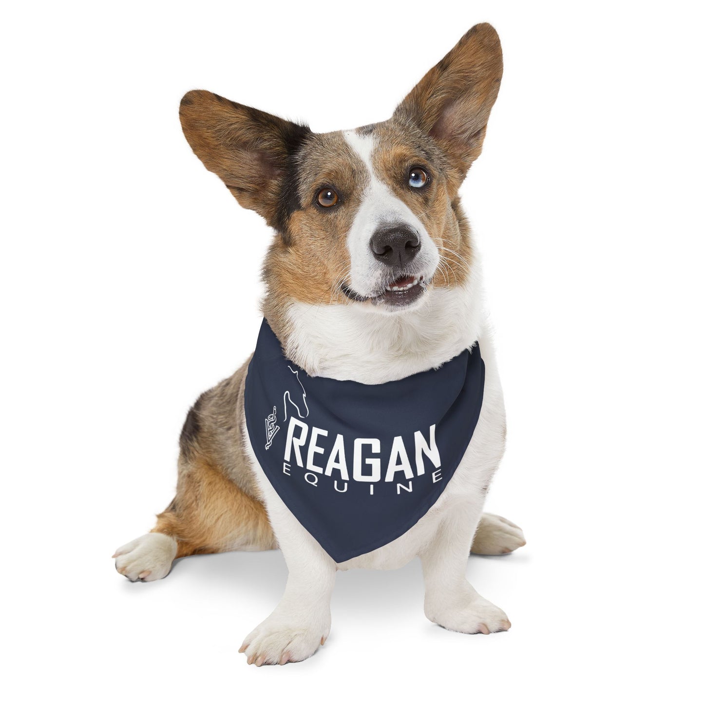 Dog Bandana with Collar