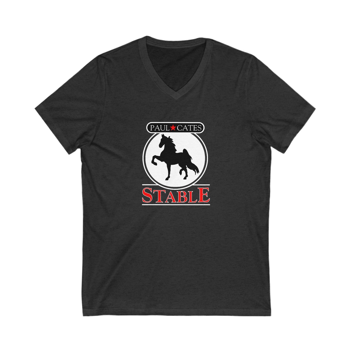 Premium Ladies V-Neck Tee