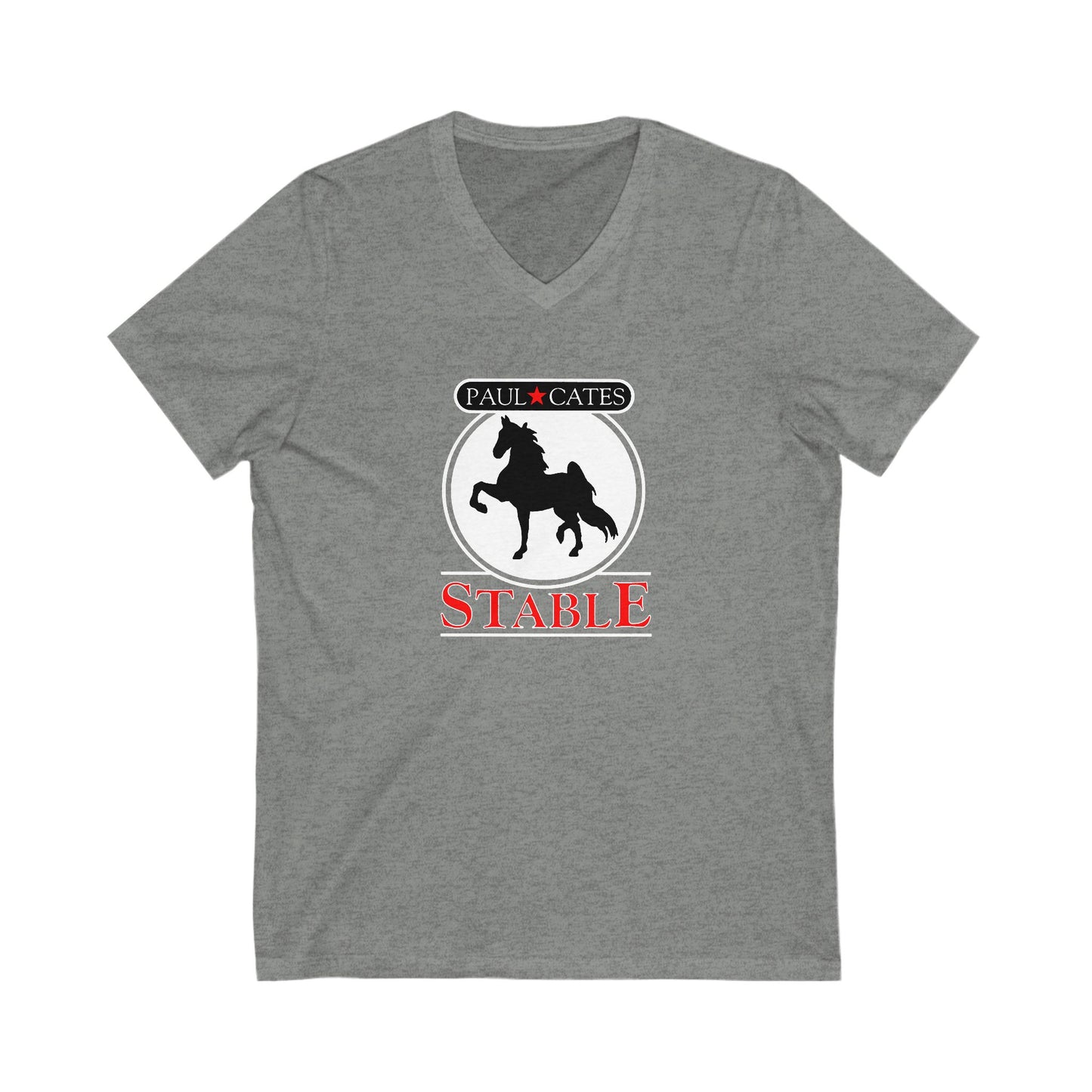 Premium Ladies V-Neck Tee