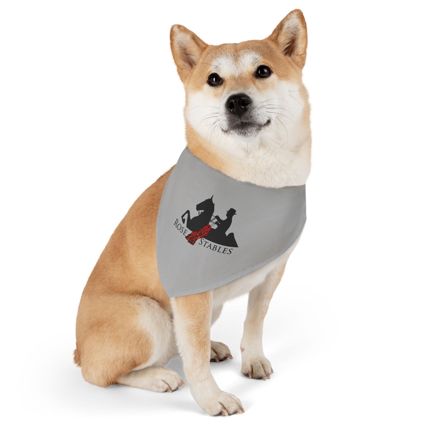 Dog Bandana with Collar