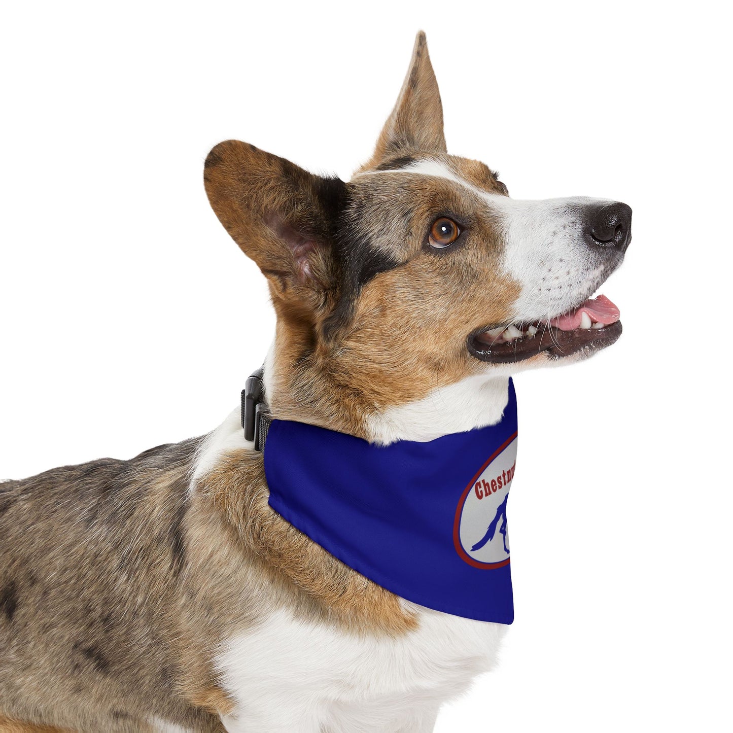 Dog Bandana with Collar
