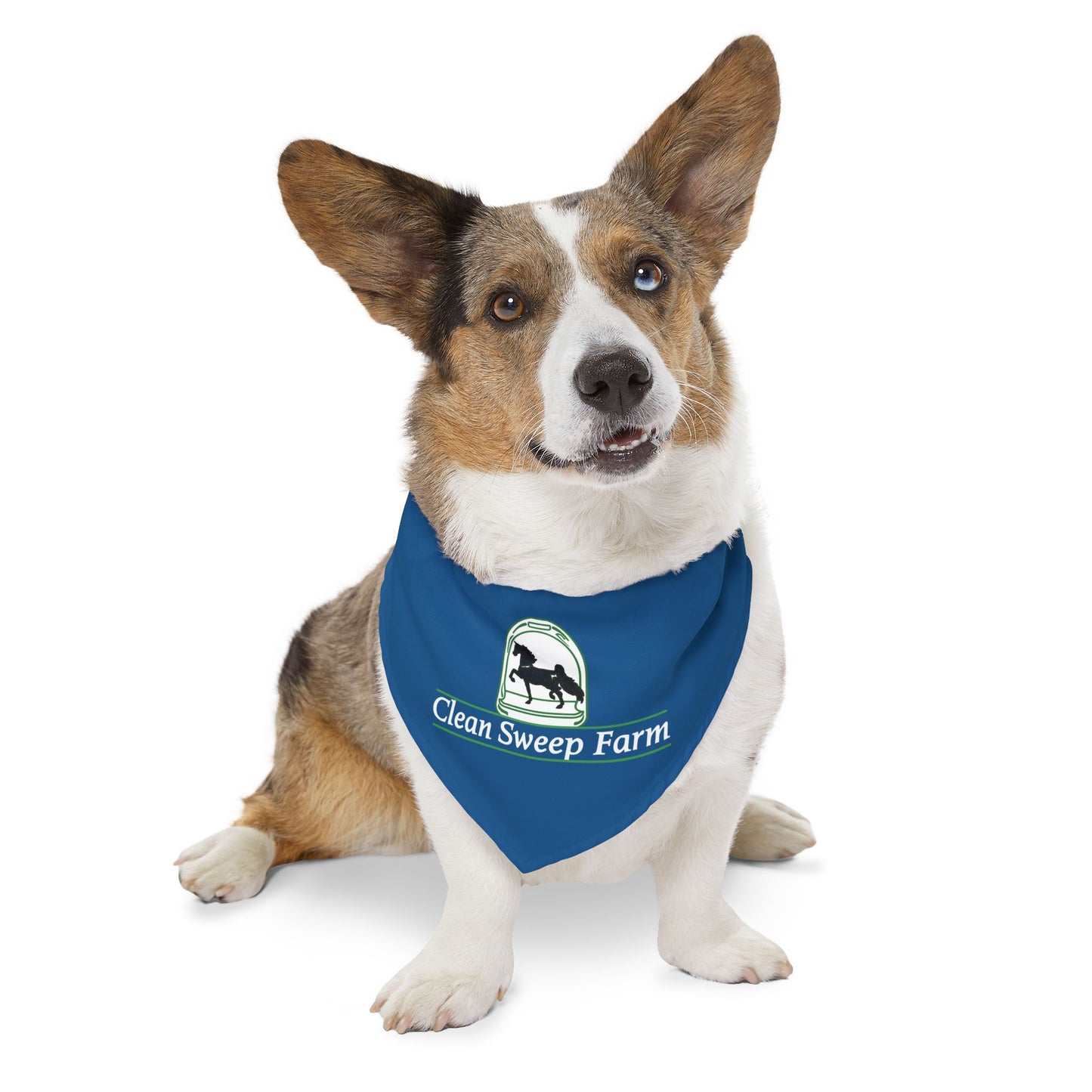 Dog Bandana with Collar