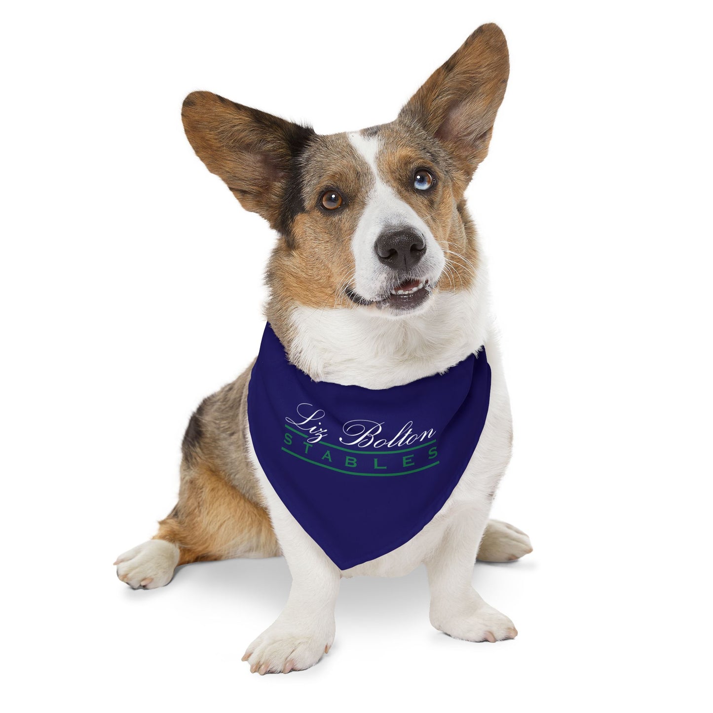 Dog Bandana with Collar