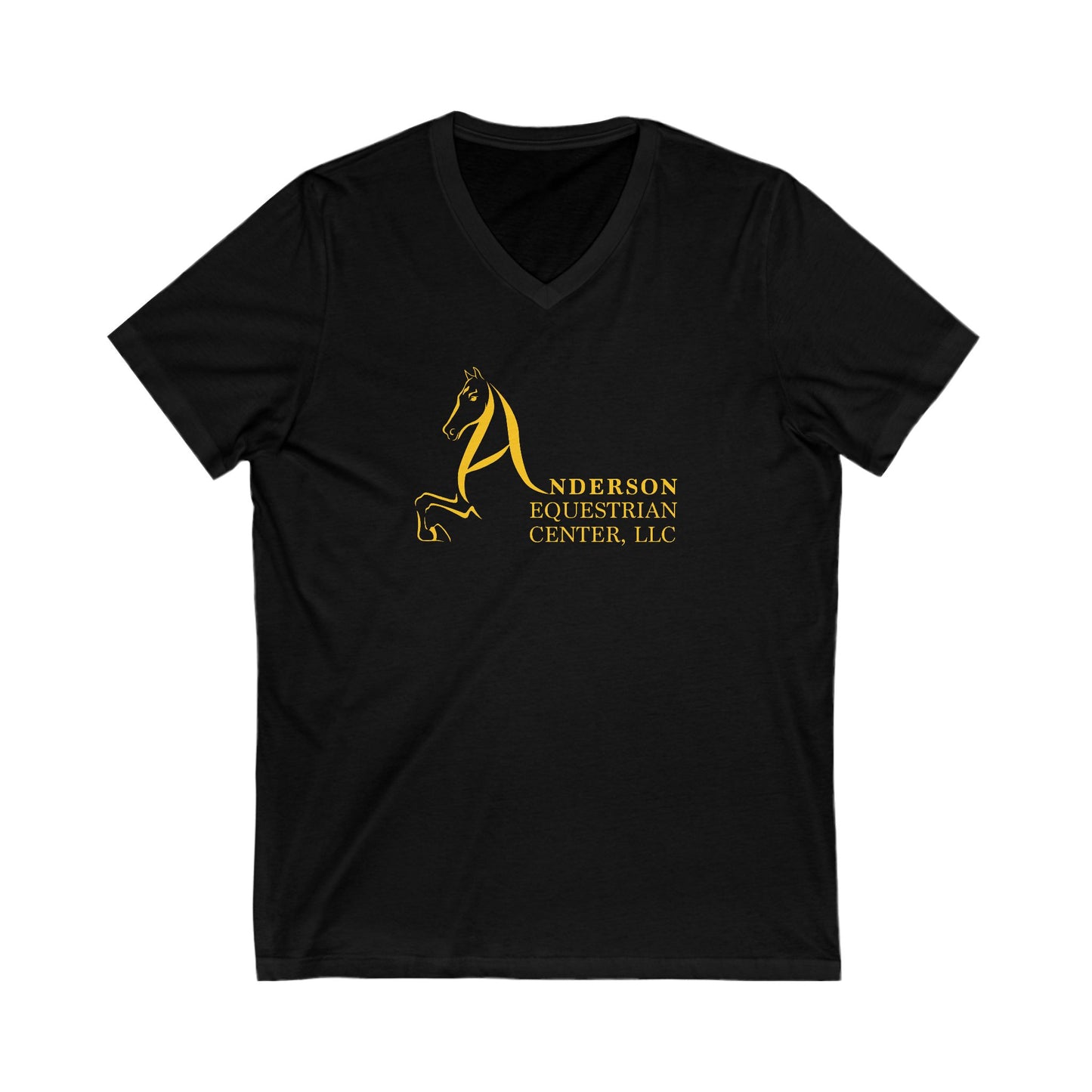 Premium Ladies V-Neck Tee