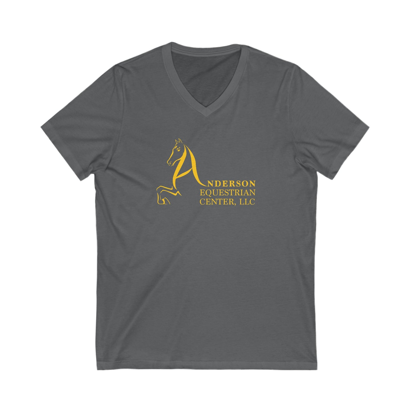 Premium Ladies V-Neck Tee