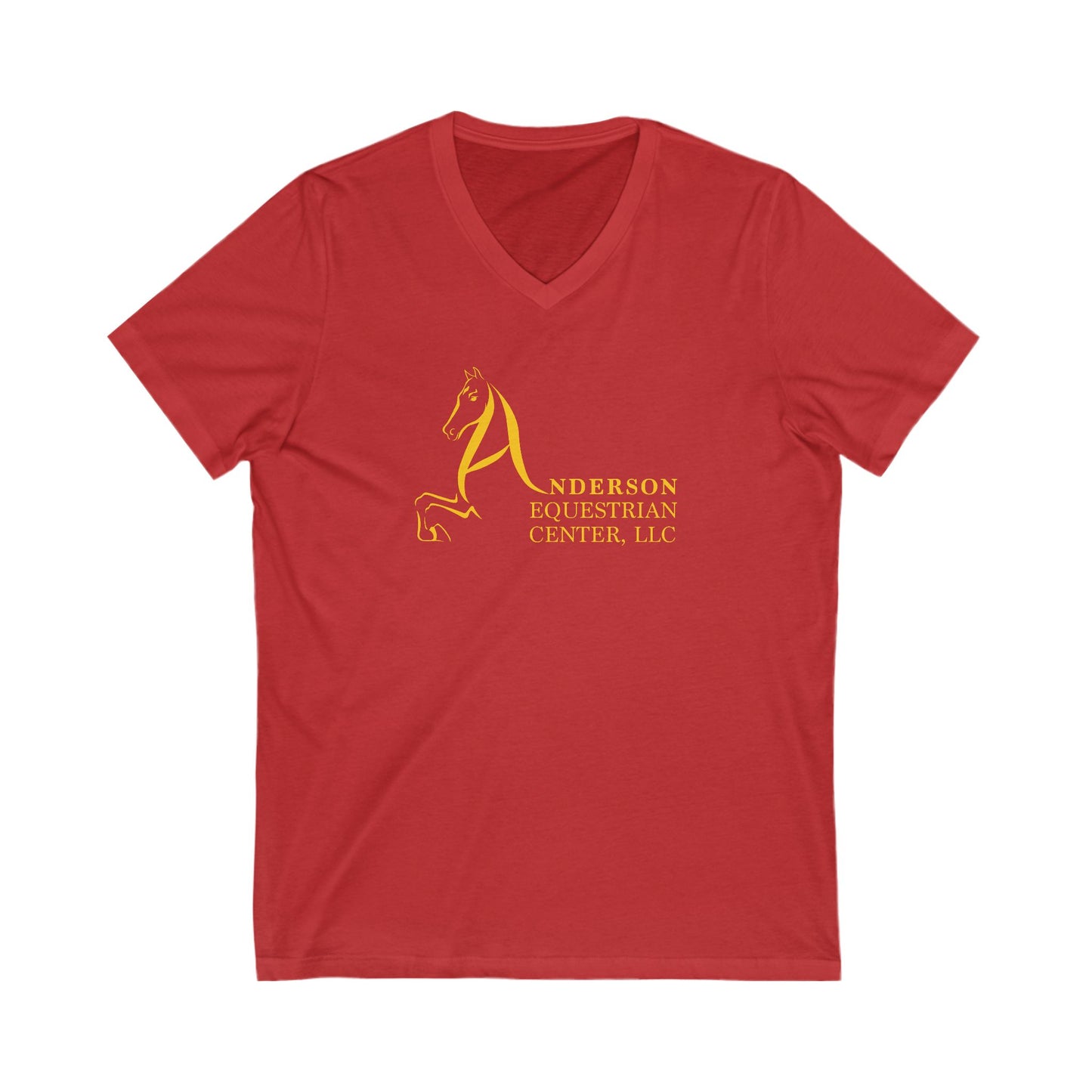 Premium Ladies V-Neck Tee