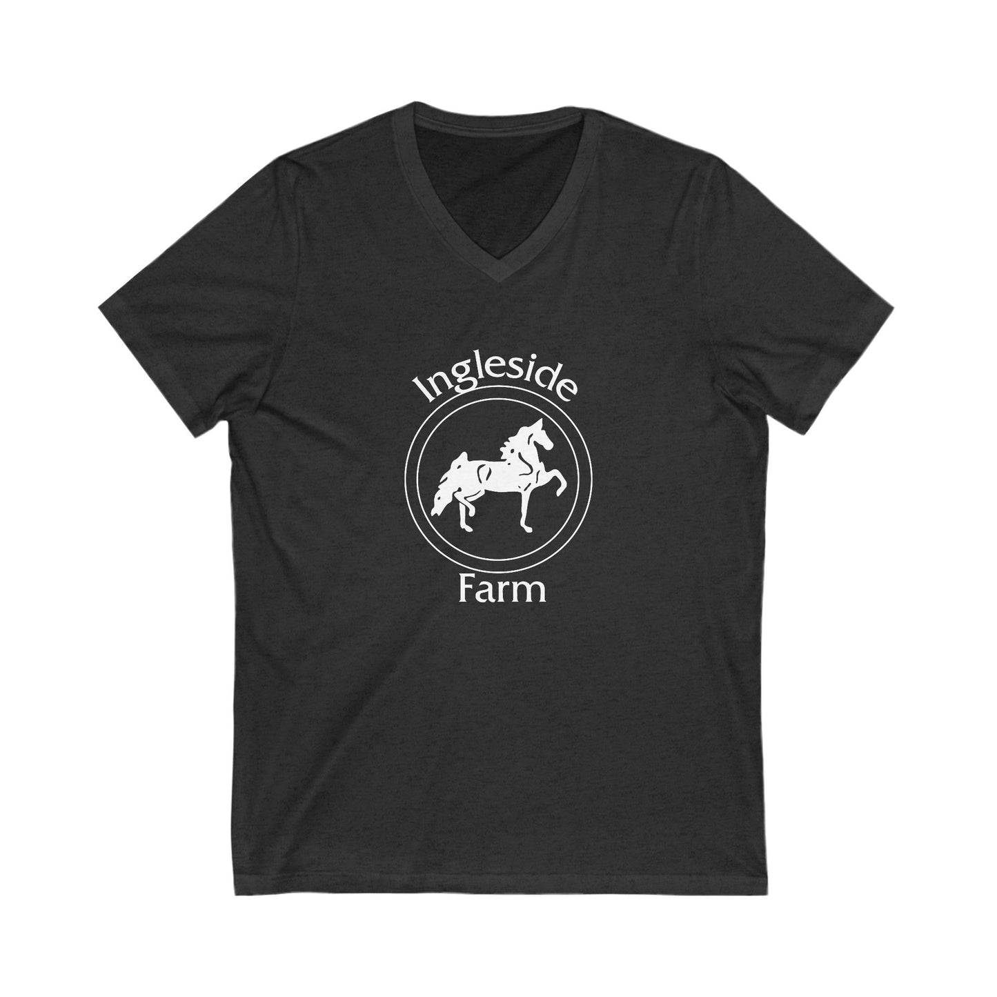 Premium Ladies V-Neck Tee