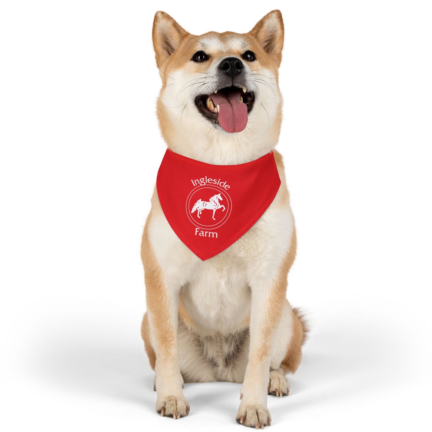 Dog Bandana with Collar